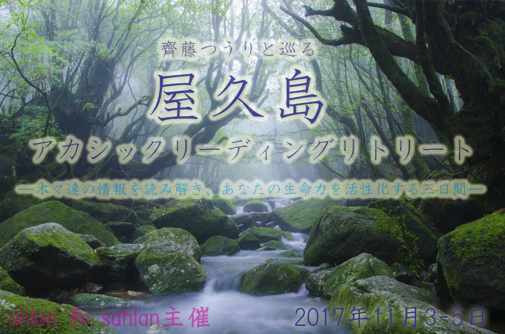 屋久島・アカシックレコ－ドリーディングリトリート募集開始