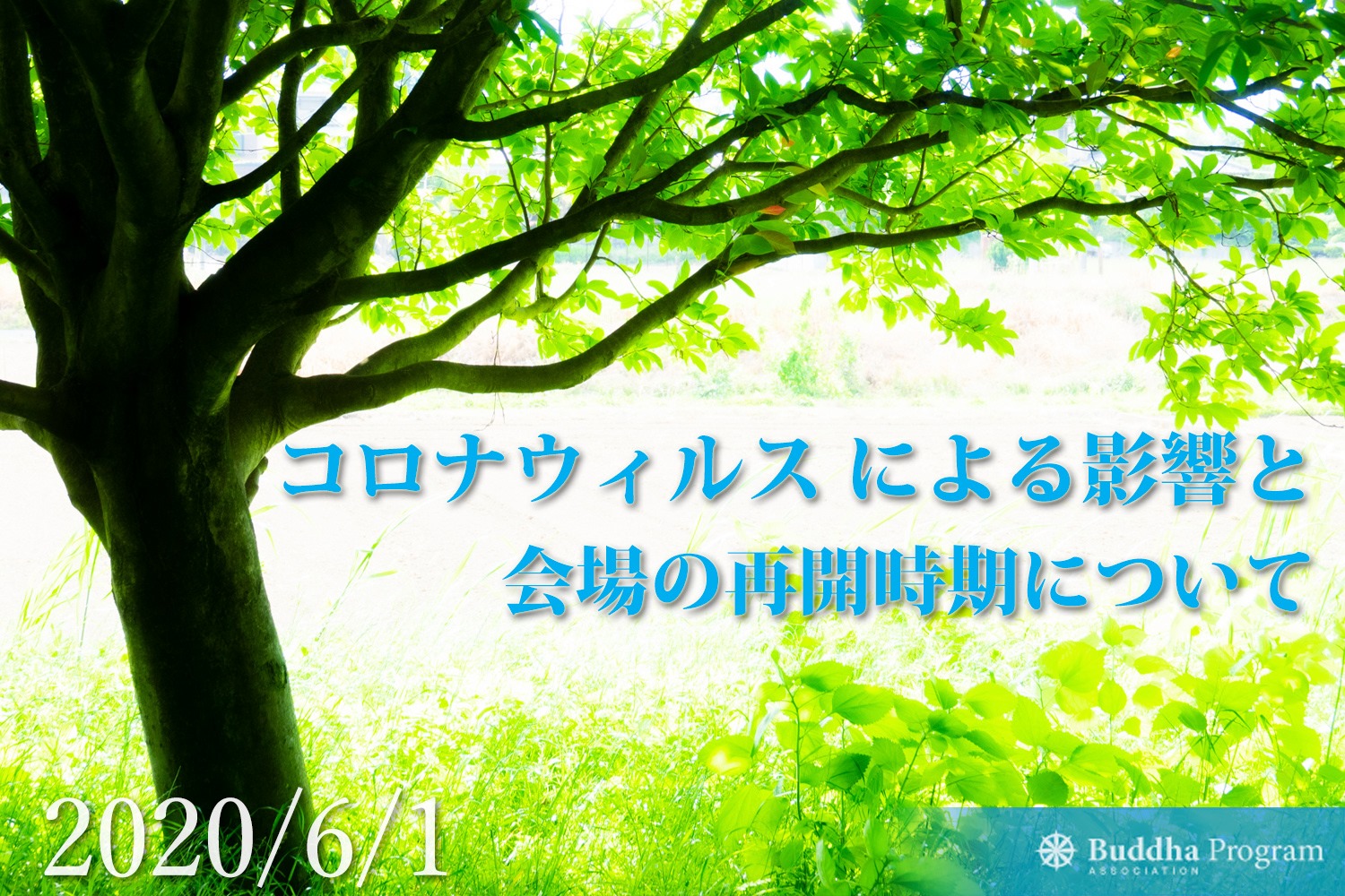 コロナウィルスの影響と会場の再開時期につきまして